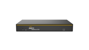 Peplink Balance 310 5G